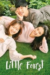 Little Forest (2018)