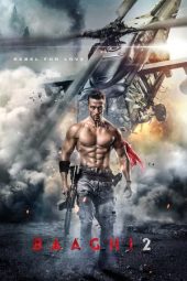 Baaghi 2 (2018)