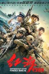 Operation Red Sea (2018)