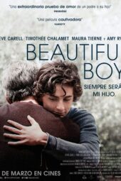 Beautiful Boy (2018)